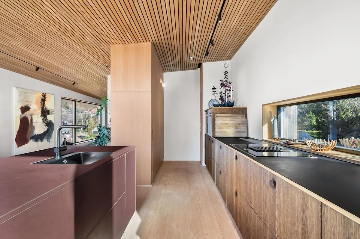 Stay In The Hollywood Hills Of Bergen With Breathtaking Views Villa